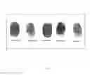 Fig. 05 - Authentication via biometric passphrase