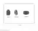Fig. 06 - Authentication via biometric passphrase