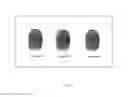 Fig. 07 - Authentication via biometric passphrase