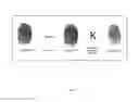 Fig. 08 - Authentication via biometric passphrase