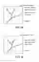 Fig. 06 - X-ray diagnostic apparatus and X-ray diagnostic method