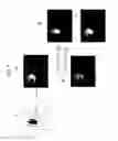 Fig. 07 - User hand detecting device for detecting user's hand region and method thereof
