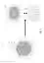 Fig. 02 - Modification of colloidal nanocrystals