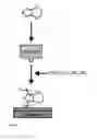 Fig. 02 - DEPOSITION OF ELECTRICALLY CONDUCTIVE POLYMERS