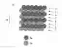 Fig. 01 - Magnetic material and method of manufacturing the same
