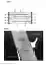 Fig. 02 - LAMINATED CERAMIC ELECTRONIC COMPONENT AND METHOD FOR PRODUCING LAMINATED CERAMIC ELECTRONIC COMPONENT
