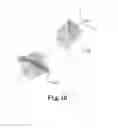 Fig. 14 - Multipole lens, aberration corrector, and electron microscope
