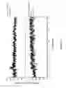 Fig. 08 - Sample preparation and nanoelectrospray ionization mass spectrometry