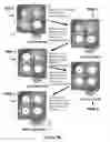 Fig. 06 - Single ALD cycle thickness control in multi-station substrate deposition systems