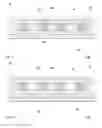 Fig. 03 - METHOD OF FORMING A THIN SUBSTRATE CHIP SCALE PACKAGE DEVICE AND STRUCTURE