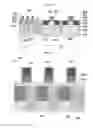 Fig. 08 - SEMICONDUCTOR DEVICE MANUFACTURING METHOD