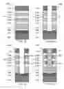 Fig. 05 - Three dimensional memory structure