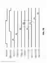 Fig. 09 - Photodiode and filter configuration for high dynamic range image sensor