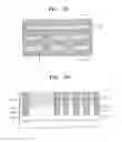 Fig. 06 - Method of forming semiconductor device including protrusion type isolation layer