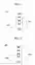 Fig. 02 - Organic light-emitting device