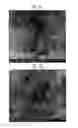 Fig. 05 - Secondary battery and manufacturing method thereof