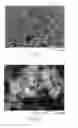 Fig. 10 - Composite active material