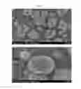 Fig. 02 - MANUFACTURING METHOD OF POSITIVE ACTIVE MATERIAL PRECURSOR FOR SODIUM RECHARGEABLE BATTERIES, POSITIVE ACTIVE MATERIAL PRECURSOR FOR SODIUM RECHARGEABLE BATTERIES MADE BY THE SAME, AND MANUFACTURING METHOD OF POSITIVE ACTIVE MATERIAL FOR SODIUM RECHARGEABLE BATTERIES, POSITIVE ACTIVE MATERIAL FOR SODIUM RECHARGEABLE BATTERIES MADE BY THE SAME