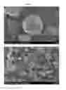 Fig. 03 - MANUFACTURING METHOD OF POSITIVE ACTIVE MATERIAL PRECURSOR FOR SODIUM RECHARGEABLE BATTERIES, POSITIVE ACTIVE MATERIAL PRECURSOR FOR SODIUM RECHARGEABLE BATTERIES MADE BY THE SAME, AND MANUFACTURING METHOD OF POSITIVE ACTIVE MATERIAL FOR SODIUM RECHARGEABLE BATTERIES, POSITIVE ACTIVE MATERIAL FOR SODIUM RECHARGEABLE BATTERIES MADE BY THE SAME