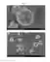 Fig. 05 - MANUFACTURING METHOD OF POSITIVE ACTIVE MATERIAL PRECURSOR FOR SODIUM RECHARGEABLE BATTERIES, POSITIVE ACTIVE MATERIAL PRECURSOR FOR SODIUM RECHARGEABLE BATTERIES MADE BY THE SAME, AND MANUFACTURING METHOD OF POSITIVE ACTIVE MATERIAL FOR SODIUM RECHARGEABLE BATTERIES, POSITIVE ACTIVE MATERIAL FOR SODIUM RECHARGEABLE BATTERIES MADE BY THE SAME
