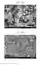 Fig. 06 - Negative electrode active material for non-lithium secondary battery, method of preparing the same, negative electrode for non-lithium secondary battery including the same, and non-lithium secondary battery including the negative electrode