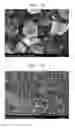 Fig. 07 - Negative electrode active material for non-lithium secondary battery, method of preparing the same, negative electrode for non-lithium secondary battery including the same, and non-lithium secondary battery including the negative electrode