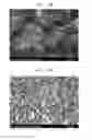 Fig. 08 - Negative electrode active material for non-lithium secondary battery, method of preparing the same, negative electrode for non-lithium secondary battery including the same, and non-lithium secondary battery including the negative electrode