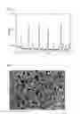 Fig. 02 - Method for preparing lithium iron phosphate nanopowder