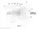 Fig. 04 - Ejector for fuel cell system