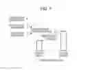 Fig. 07 - Fuel cell stack