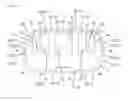 Fig. 07 - Connector with front backlash preventing portions and rear backlash preventing portion that are offset circumferentially with respect to the front backlash preventing portions