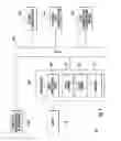Fig. 07 - Charging and discharging of DC microgrid energy storage