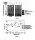 Fig. 32 - Low power nanoelectronics