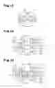 Fig. 09 - Rotor and motor