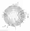 Fig. 04 - Audible warning system for generator system