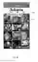 Fig. 05 - Aggregator of Media Content