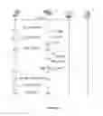 Fig. 03 - Mechanism for managing a communication session