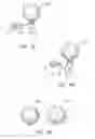 Fig. 20 - AUXILIARY PHOTOGRAPHY SYSTEMS FOR MOBILE DEVICES