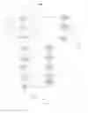 Fig. 07 - Video signature system and method