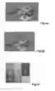 Fig. 06 - Stereoscopic image output system