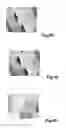 Fig. 08 - Stereoscopic image output system