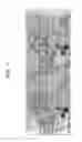 Fig. 05 - Stereo source image calibration method and apparatus