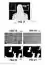 Fig. 09 - Content adaptive background foreground segmentation for video coding