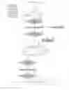 Fig. 09 - Motion derivation and coding for scaling video