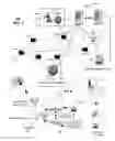 Fig. 02 - Apparatus and method for transmitting media content
