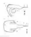 Fig. 06 - Illuminated headphone system