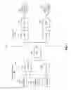 Fig. 02 - RADIO LINK CONTROL STATUS PROTOCOL DATA UNIT HANDLING
