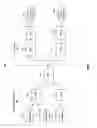Fig. 02 - MULTI-RADIO ACCESS TECHNOLOGY (RAT) MEASUREMENT SCHEDULING