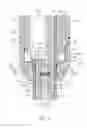 Fig. 03 - Glow plug with combustion pressure sensor