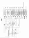 Fig. 07 - Method of manufacturing semiconductor device, substrate processing apparatus and recording medium